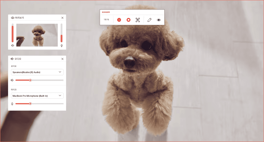 전체 화면 녹화